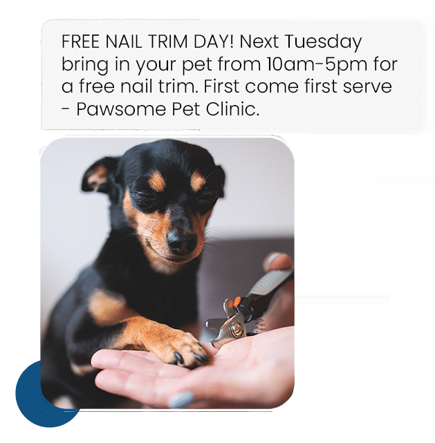 SMS marketing campaign for Pet Care, promoting a free nail trim day. Includes an image of a small chihuahua getting her nails clipped. 